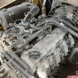 Cat GP25NT